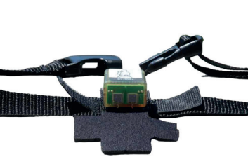 Equinosis Rider Module system upgrade Includes rider sensor,rider belt